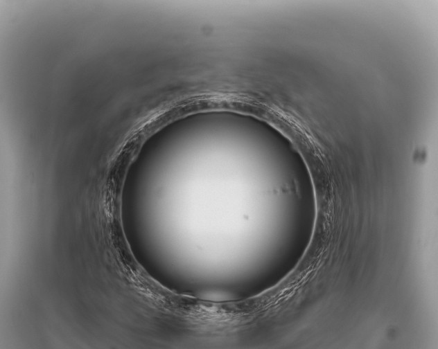 X0000096191207200801251232