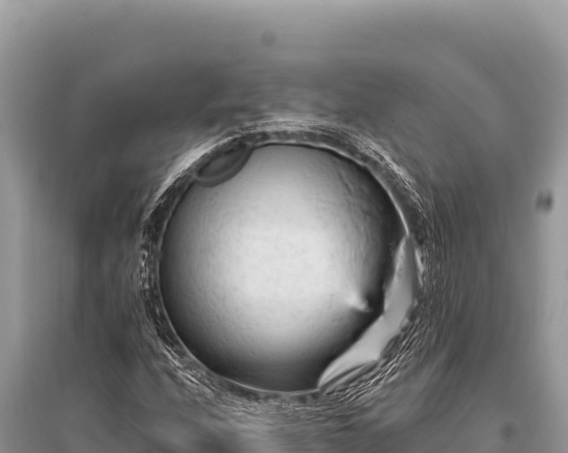 X0000096191208200801251232