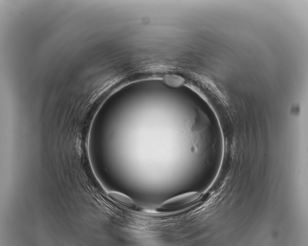 X0000096191209200801251232