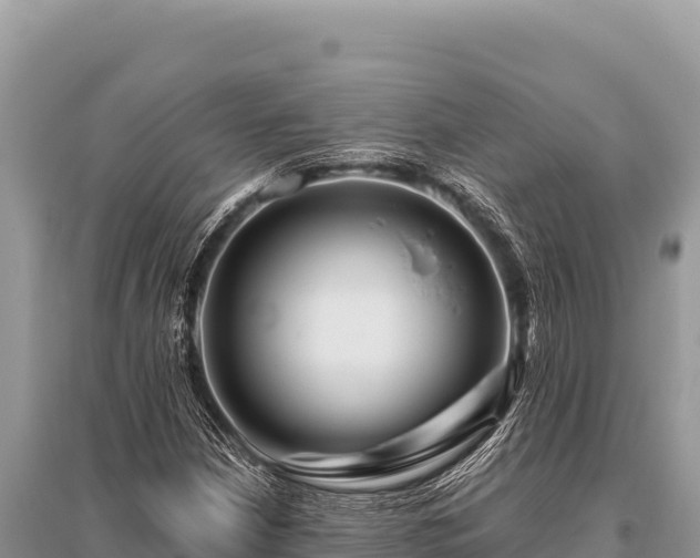 X0000096191210200801251232