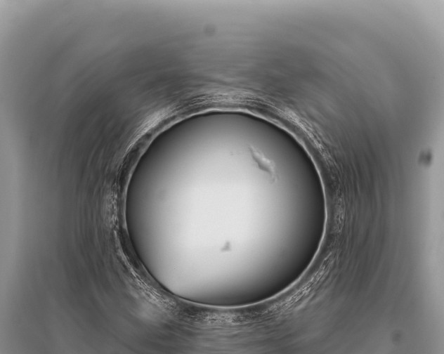 X0000096191211200801251232