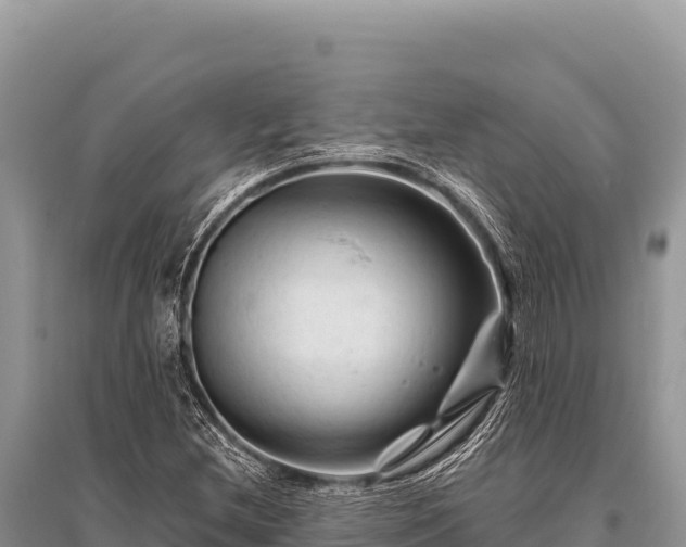 X0000096191212200801251232