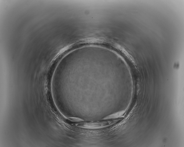 X0000096191213200801251232