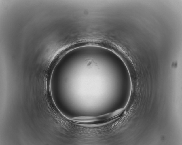X0000096191214200801251232