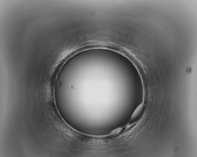 X0000096191215200801251232