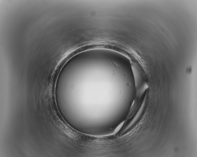 X0000096191216200801251232