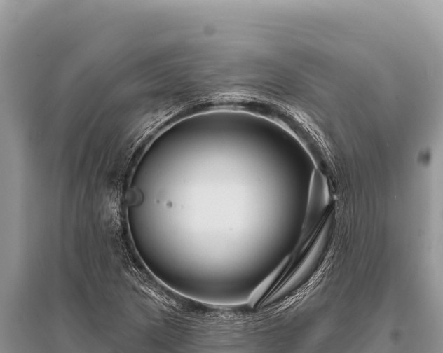 X0000096191217200801251232