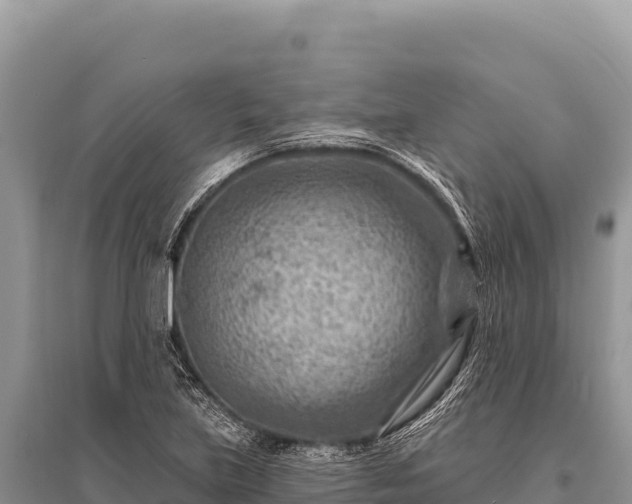 X0000096191219200801251232