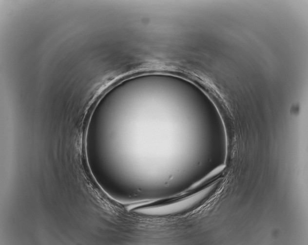 X0000096191220200801251232