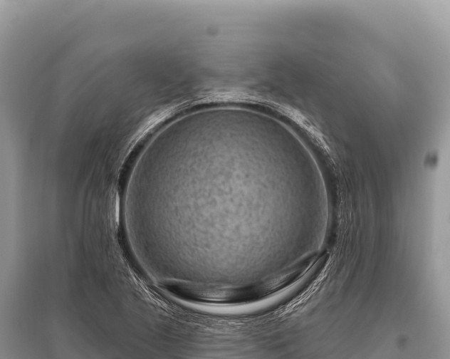 X0000096191221200801251232