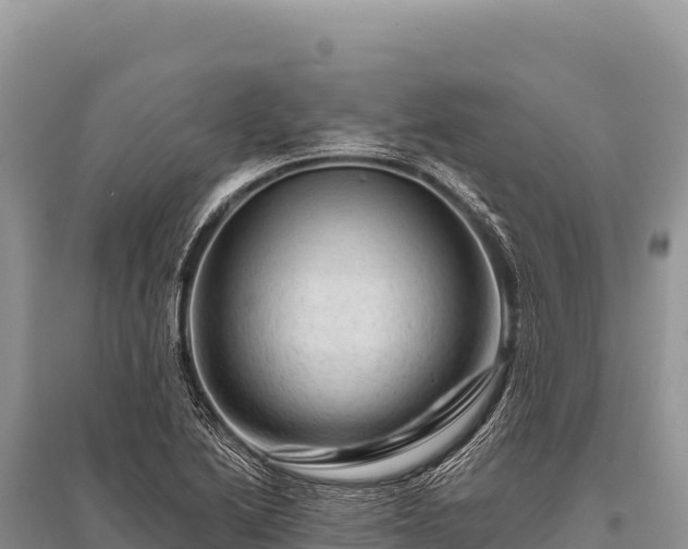 X0000096191222200801251232