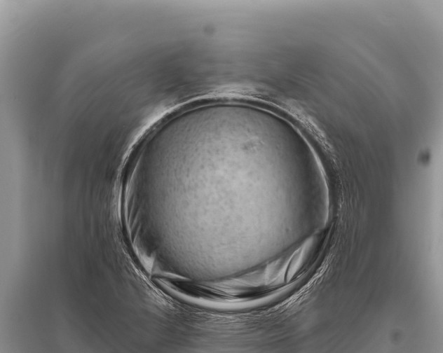 X0000096191224200801251232
