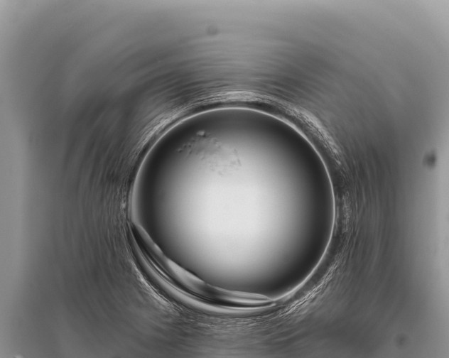 X0000096191225200801251232