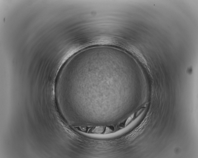 X0000096191226200801251232