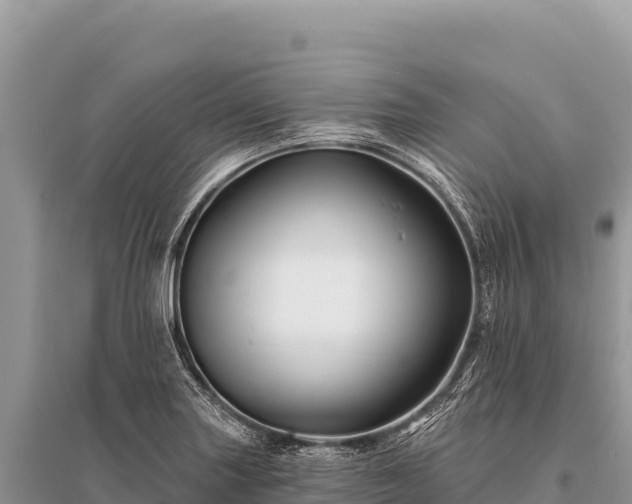 X0000096191227200801251232