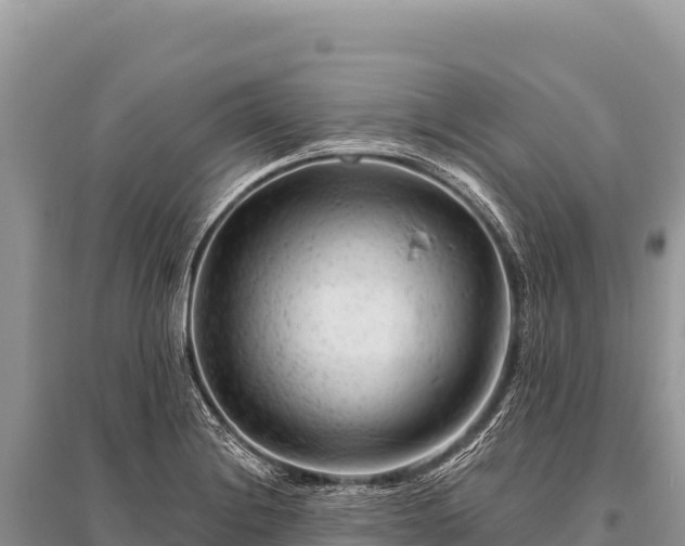 X0000096191228200801251232
