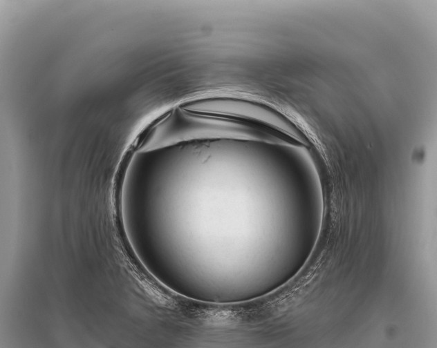 X0000096191230200801251232