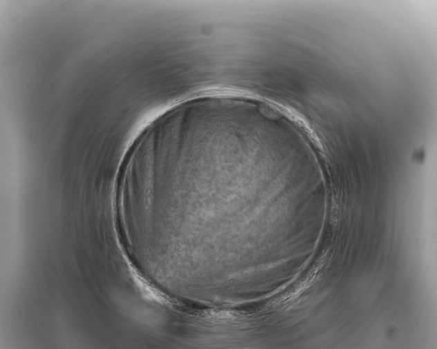 X0000096191231200801251232