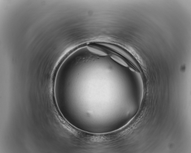 X0000096191232200801251232