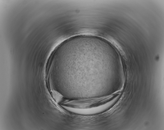 X0000096191240200801251232