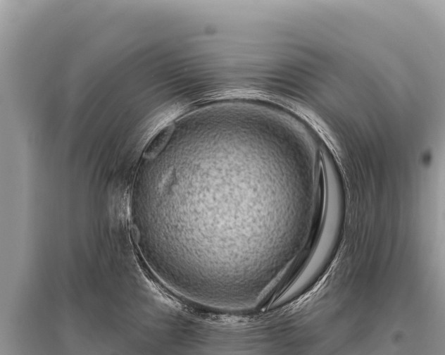 X0000096191241200801251232