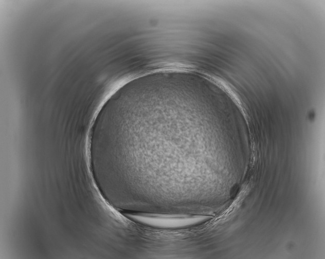 X0000096191243200801251232