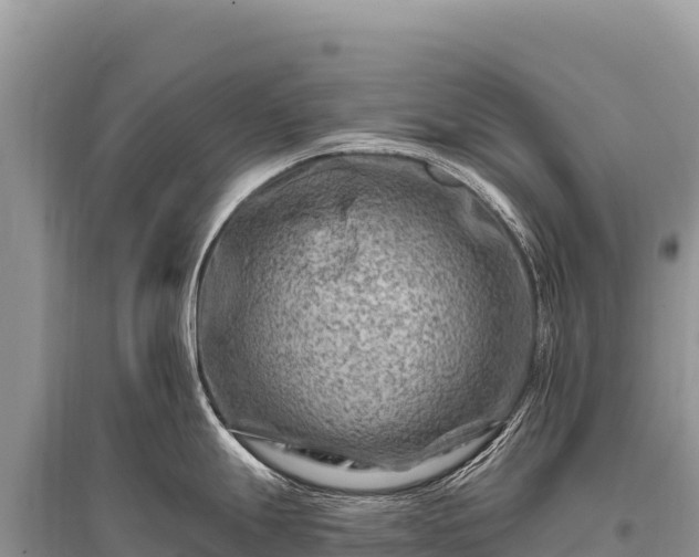 X0000096191247200801251232