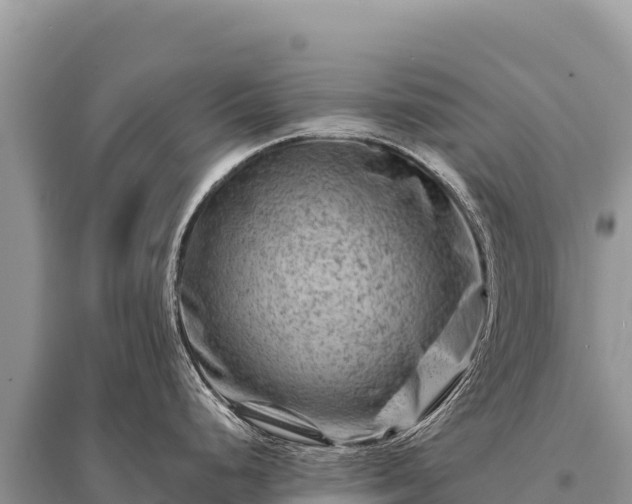 X0000096191248200801251232