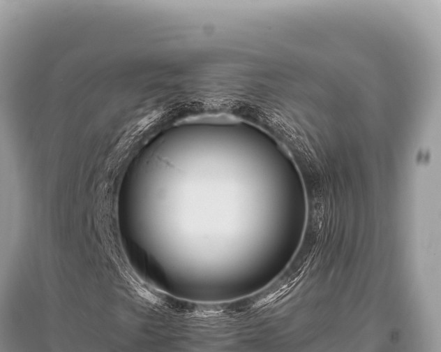 X0000096191249200801251231