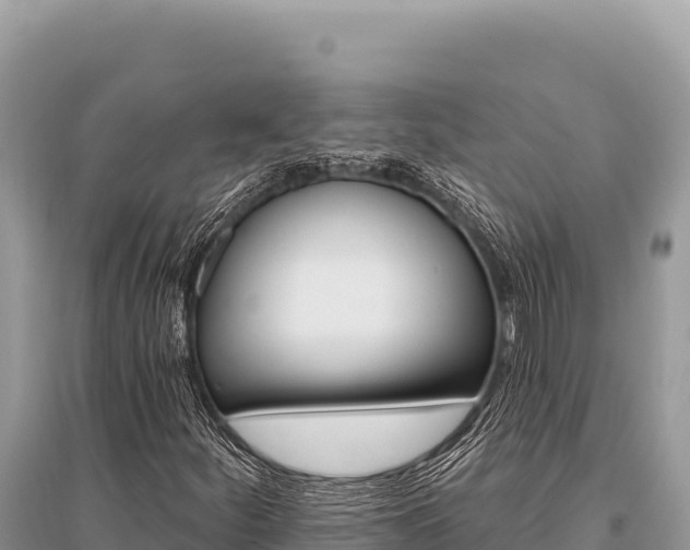 X0000096191252200801251231