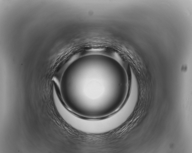 X0000096191253200801251231