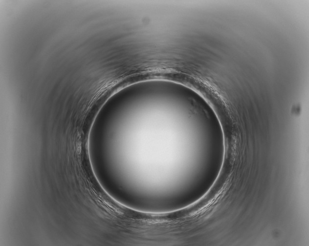 X0000096191257200801251231