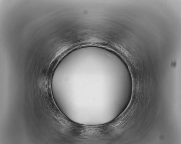X0000096191258200801251231