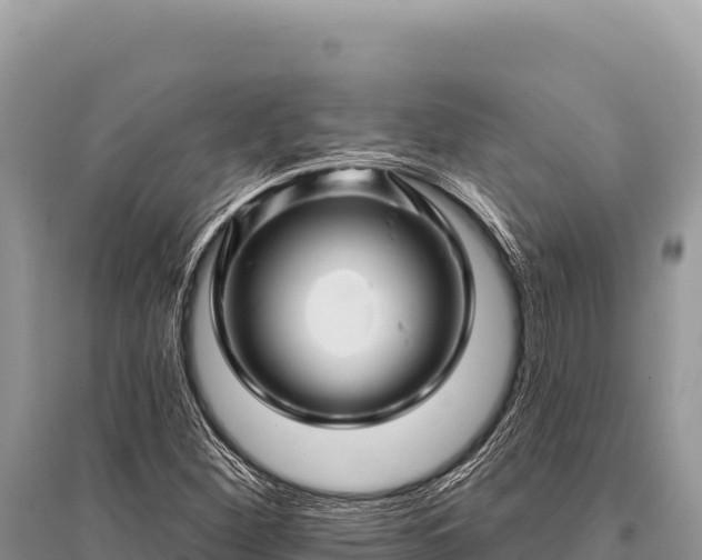 X0000096191260200801251231
