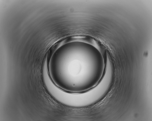 X0000096191265200801251231