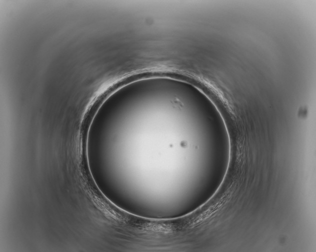 X0000096191270200801251231