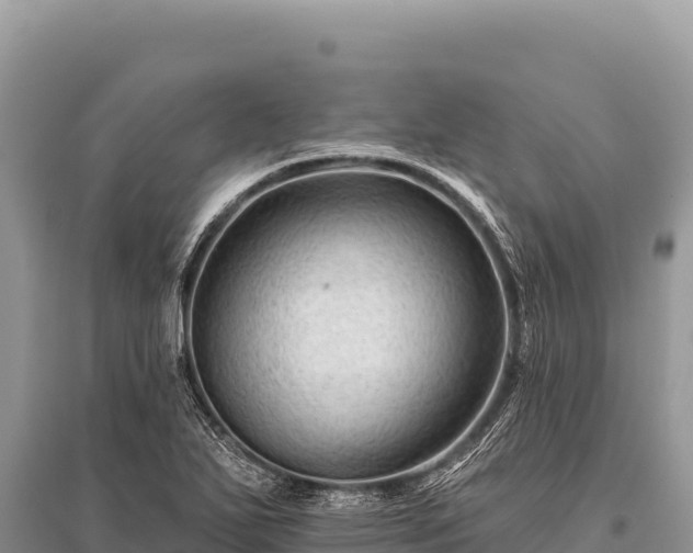 X0000096191271200801251231