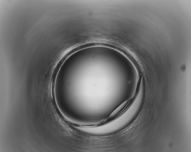 X0000096191272200801251231