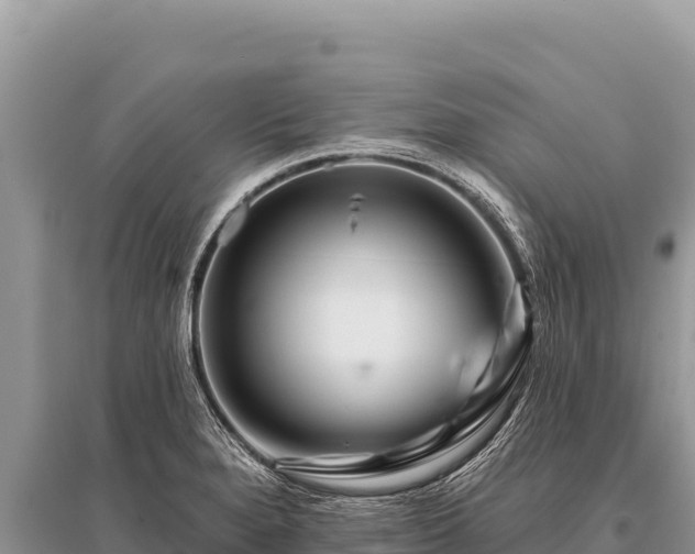 X0000096191280200801251231