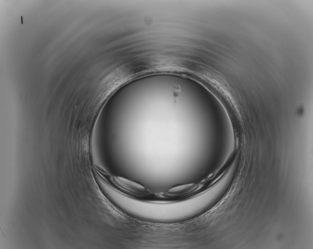 X0000096191281200801251231