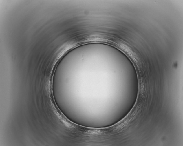 X0000096191282200801251231