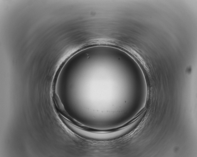 X0000096191285200801251231