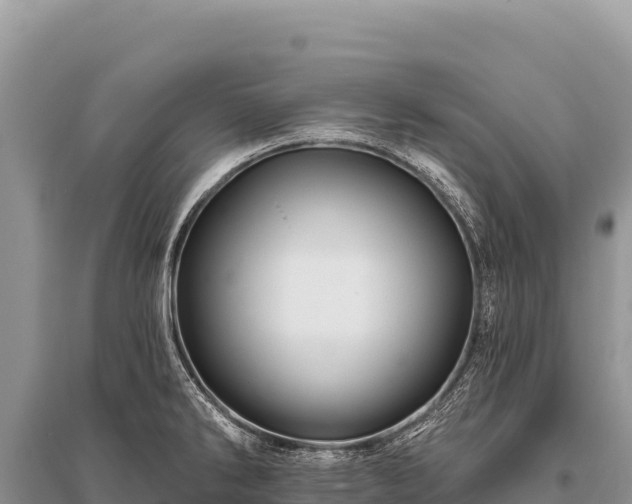 X0000096191286200801251231