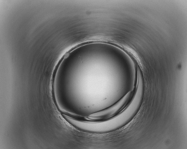 X0000096191288200801251231