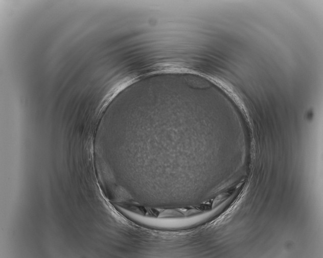 X0000096191289200801251231