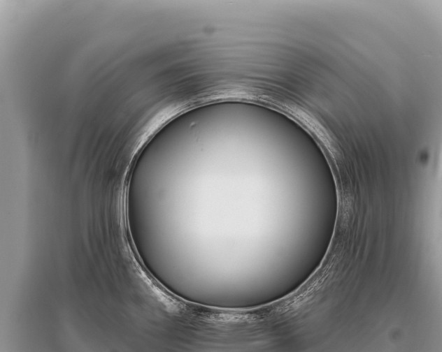 X0000096191290200801251231
