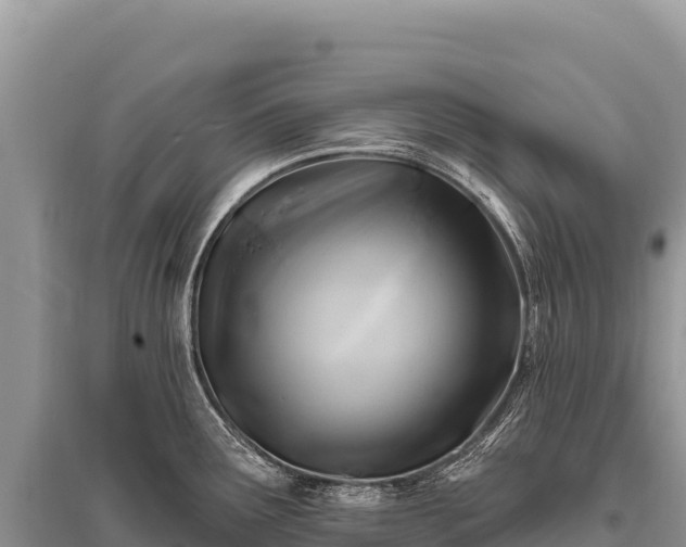 X0000096191291200801251231