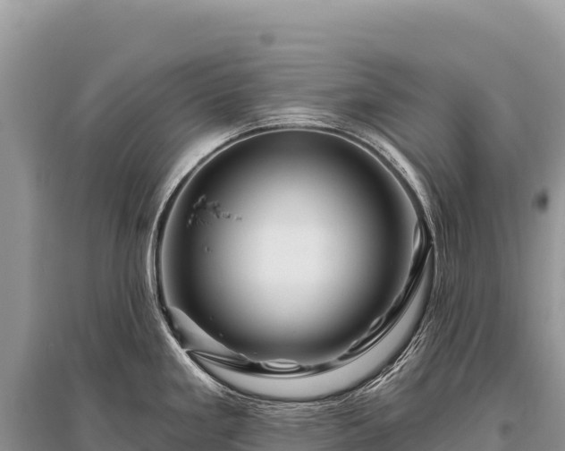 X0000096191293200801251231