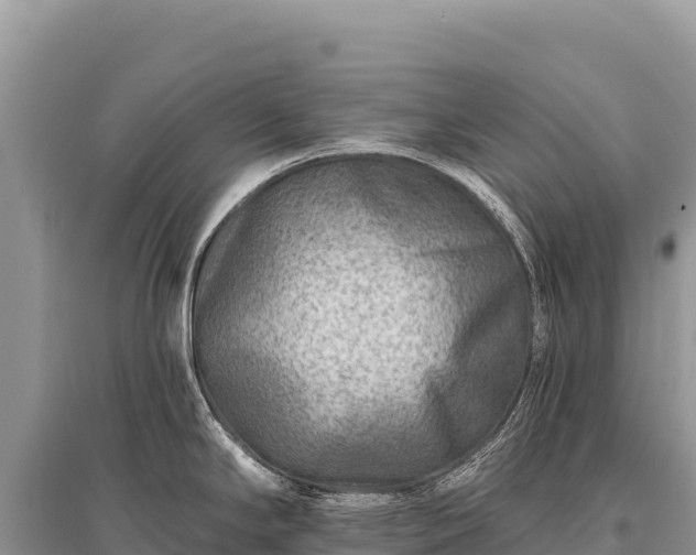 X0000096191294200801251231