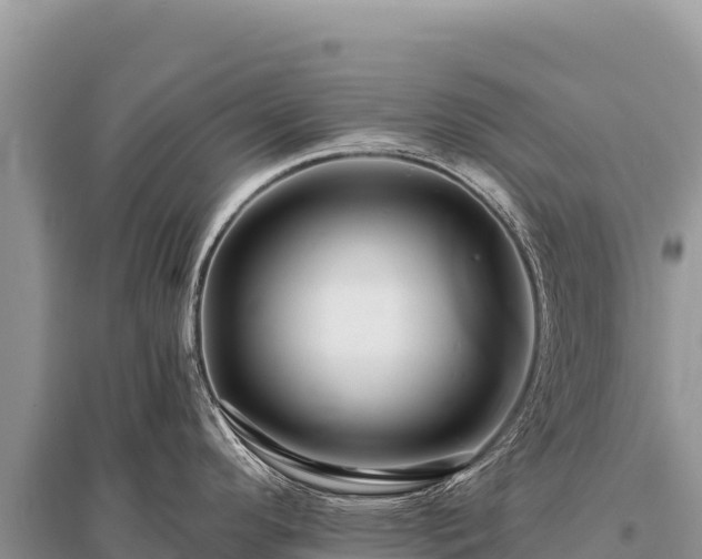 X0000096191296200801251231